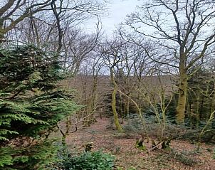 Guest house 089368 - Chalet Namur - Chalet Vogelzang - Domaine des Nobertins