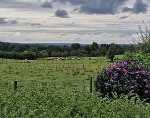 Verblijf 090107 - Vakantiewoning Ardennen (Luxemburg) - www.champignonsauvage.be