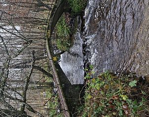 Verblijf 090107 - Vakantiewoning Ardennen (Luxemburg) - www.champignonsauvage.be