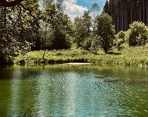 Guest house 090913 - Holiday property Luxembourg - Vakantiehuisje in Vielsalm