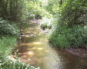 Unterkunft 090915 - Ferienhaus Luxemburg - Vakantiehuisje in Vielsalm