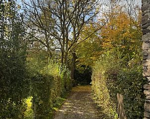 Guest house 090956 - Holiday property Luxembourg - Vakantiehuisje in Vielsalm