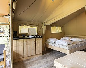 Verblijf 091233 - Tenthuis Ardennen (Luxemburg) - «Comet»