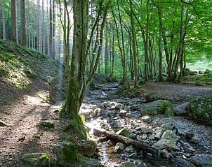 Guest house 091252 - Apartment Luxembourg - Safaritent 5 persons
