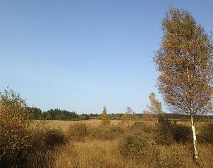 Guest house 091257 - Apartment Luxembourg - Sunshine 49
