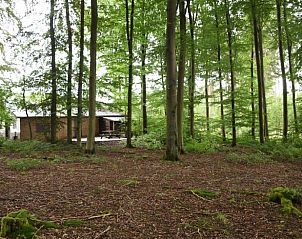 Verblijf 0913146 - Vakantiewoning Ardennen (Luxemburg) - Huisje in Tellin