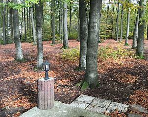 Verblijf 0913146 - Vakantiewoning Ardennen (Luxemburg) - Huisje in Tellin