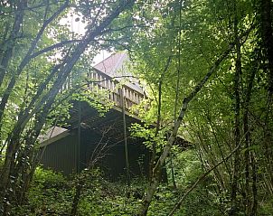 Verblijf 0913173 - Vakantiewoning Ardennen (Luxemburg) - Vakantiehuis in Durbuy