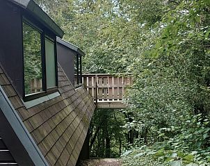 Verblijf 0913173 - Vakantiewoning Ardennen (Luxemburg) - Vakantiehuis in Durbuy
