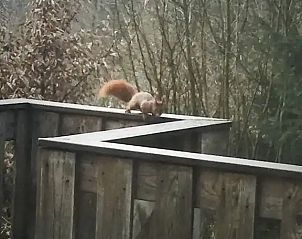 Guest house 0913196 - Bungalow Luxembourg - De Oranje Kabouter