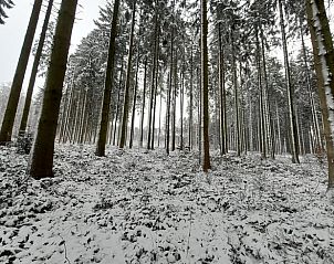 Guest house 091387 - Holiday property Luxembourg - Vakantiehuis in Durbuy