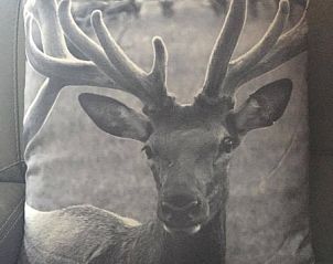Decorative pillow with deer in Chalet Oakleaf, stylish vacation home in Durbuy, Ardennes.