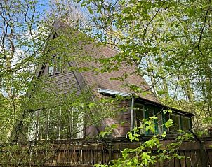 Verblijf 0913930 • Chalet Ardennen (Luxemburg) • Chalet Du Bois IV 