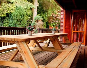 Unterkunft 091419 - Ferienhaus Luxemburg - Vakantiehuisje in Rendeux