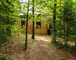 Cottage in Durbuy, Izier, vacation home surrounded by lush nature in the Ardennes, Luxembourg, Belgium. Perfect for nature lovers.