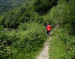 Verblijf 0918206 - Vakantiewoning Ardennen (Luxemburg) - BA016