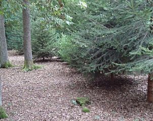 Unterkunft 0918609 - Ferienhaus Luxemburg - Vakantiehuisje in Barvaux-sur-Ourthe