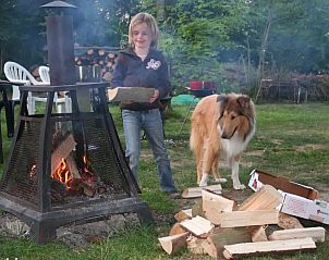 Guest house 0918616 - Chalet Luxembourg - Chalet Barvaux