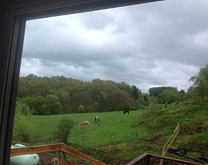 View of grazing horses from Casa Nouche vacation home in Engreux, Ardennes, Belgium.