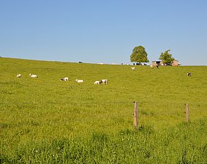 Guest house 0921002 - Special overnight stays Luxembourg - La Hetraie