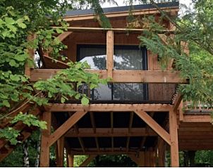 Unterkunft 092137 - Ferienhaus Luxemburg - Tree House