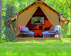 Geniet van luxe glamping in de Safari Tent in Houffalize, Ardennen, Belgi, omgeven door groene natuur en rustieke charme.