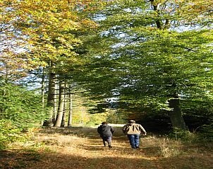 Verblijf 092159 - Vakantiewoning Ardennen (Luxemburg) - «Les Jardins de l'Ourthe 8»