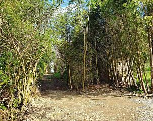Guest house 092165 - Holiday property Luxembourg - Jardin de l'Ourthe 22