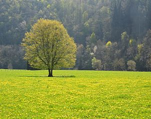 Guest house 092165 - Holiday property Luxembourg - Jardin de l'Ourthe 22