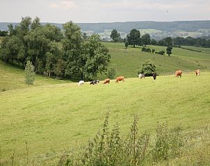Guest house 092165 - Holiday property Luxembourg - Jardin de l'Ourthe 22