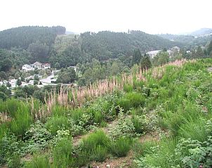 Guest house 092166 - Holiday property Luxembourg - Les Jardins de l'Ourthe 16
