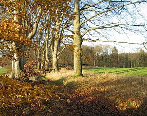 Guest house 092166 - Holiday property Luxembourg - Les Jardins de l'Ourthe 16
