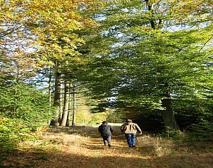 Guest house 092169 - Holiday property Luxembourg - Les Jardins de l'Ourthe 8