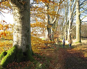 Guest house 092169 - Holiday property Luxembourg - Les Jardins de l'Ourthe 8