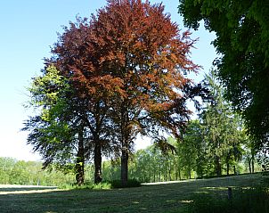 Guest house 092169 - Holiday property Luxembourg - Les Jardins de l'Ourthe 8