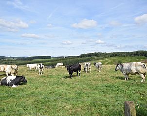 Guest house 092169 - Holiday property Luxembourg - Les Jardins de l'Ourthe 8