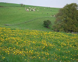 Guest house 092169 - Holiday property Luxembourg - Les Jardins de l'Ourthe 8