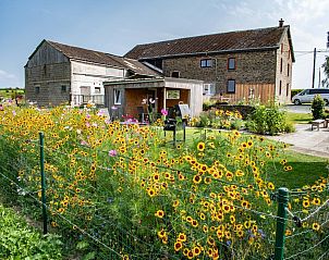 Unterkunft 092183 - Ferienhaus Luxemburg - Chez Cyrille