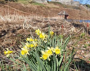 Guest house 0921901 - Holiday property Luxembourg - Vakantiehuisje in Longchamps Bertogne
