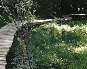 Guest house 0923401 - Holiday property Luxembourg - Vakantiehuis in Les Hayons