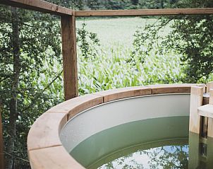 Guest house 0925206 - Holiday property Luxembourg - �Bird Nest�