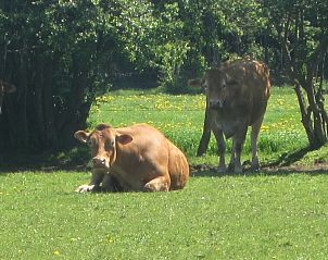 Guest house 09255107 - Holiday property Luxembourg - Au Fief des Oiseaux