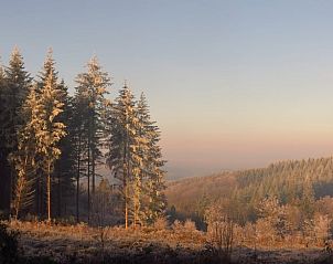 Unterkunft 0925535 - Ferienhaus Luxemburg - Vakantiehuisje in Beffe