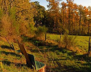 Unterkunft 0925535 - Ferienhaus Luxemburg - Vakantiehuisje in Beffe