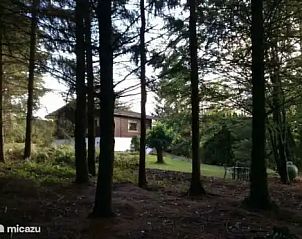 Guest house 0925586 - Chalet Luxembourg - Chalet BuiTen-geWoon