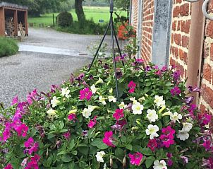 Unterkunft 0925597 - Ferienhaus Luxemburg - Vakantiehuisje in Villers Sainte Gertrude