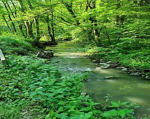 Guest house 0926040 - Holiday property Luxembourg - Chateau Angelus