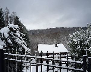 Winter atmosphere at Chalet Ma Reine in Remouchamps, Ardennes, Belgium with snowy trees.