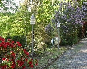 Verblijf 0927110 - Vakantiewoning Ardennen (Luxemburg) - Vakantiehuis in Poupehan sur Semois