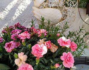 Guest house 093405 - Holiday property Luxembourg - Vakantiehuis in Bertogne
